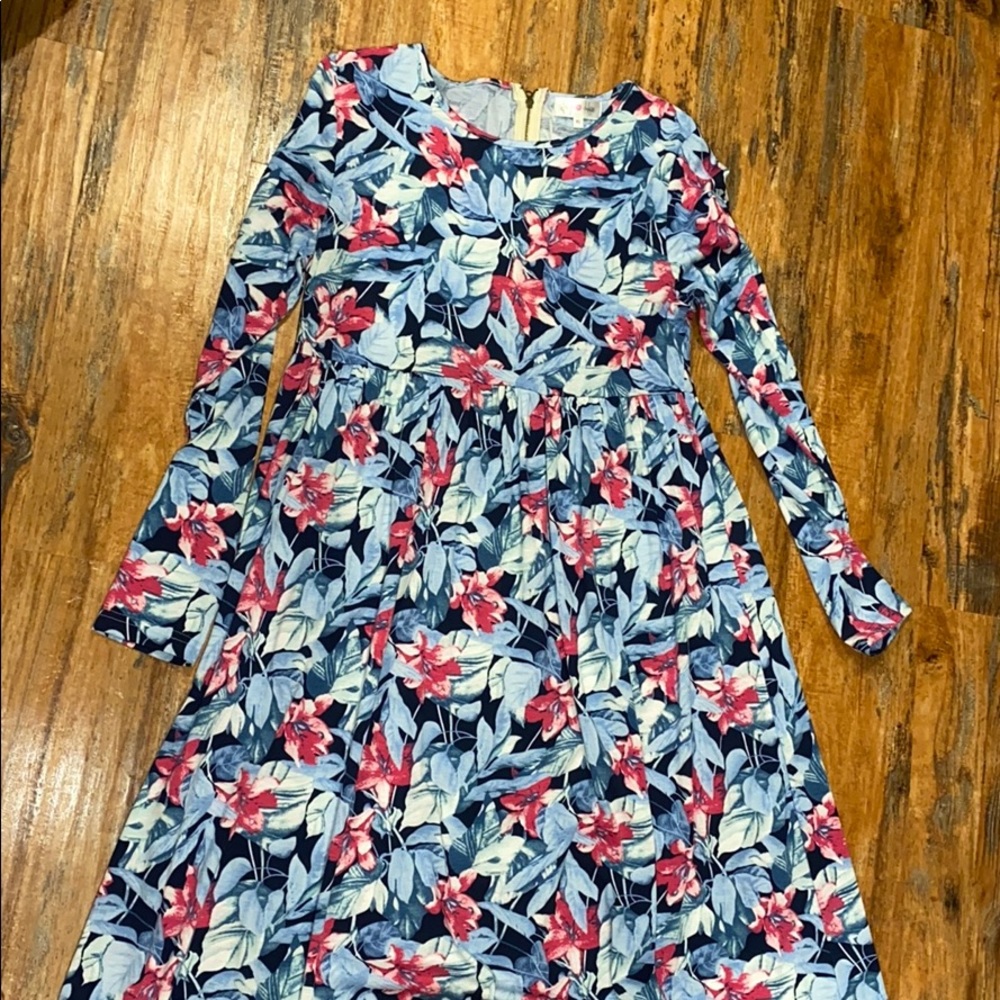 Pink and Blue Floral Long Sleeve Maxi Dress